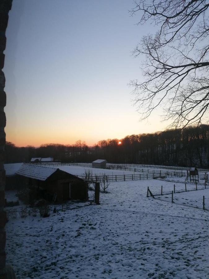 Hébergement de vacances Le Repos Brakel